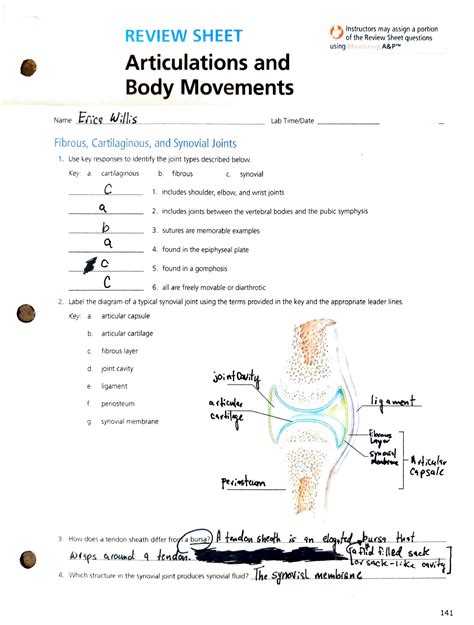joints and movement worksheet pdf